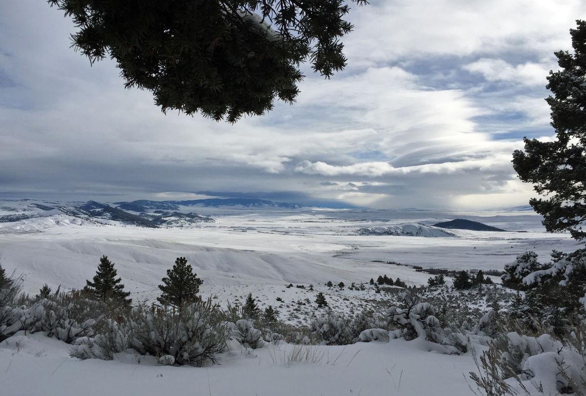 Elk Hunt Brings National Attention To Small Montana Town Outdoors Siouxcityjournal Com