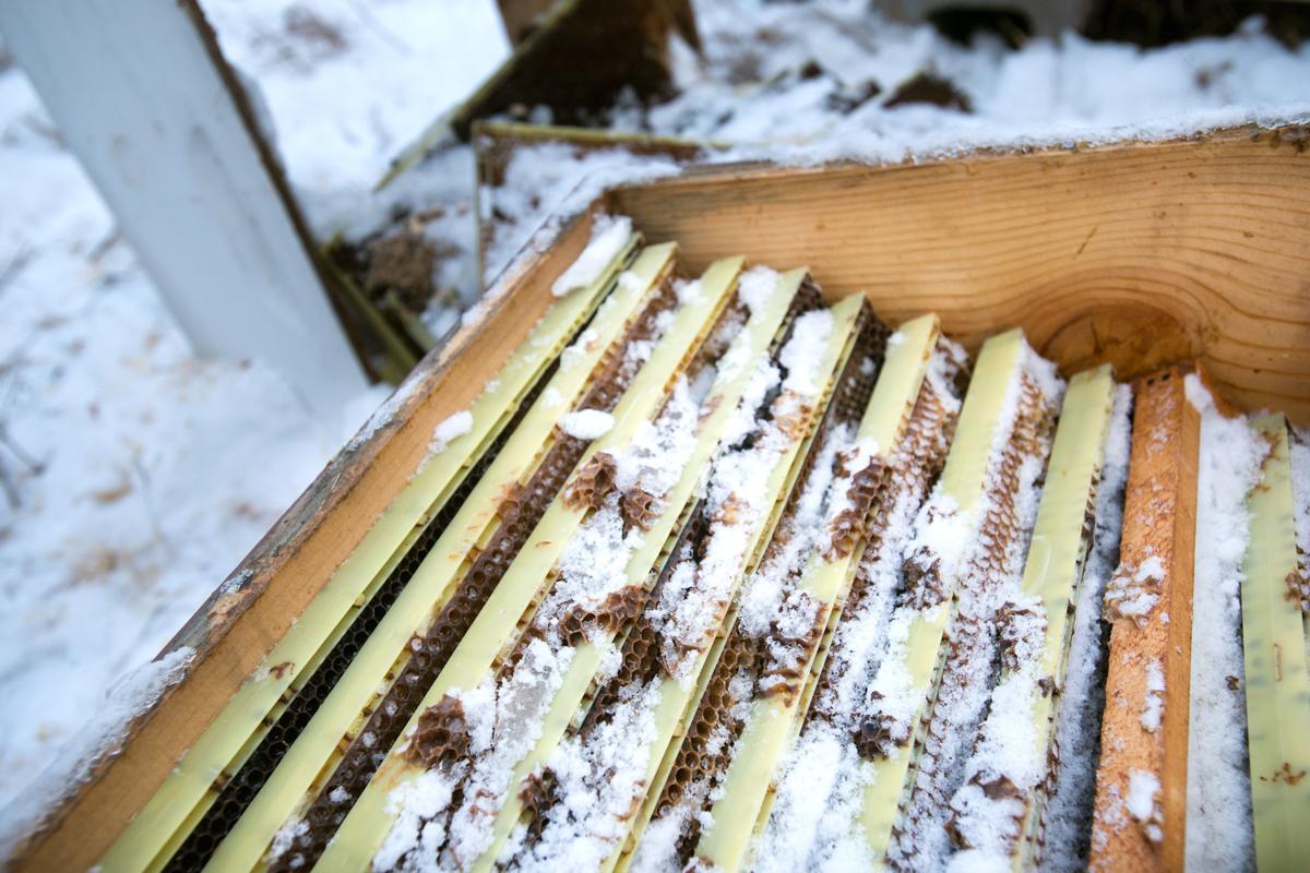 Wild Hill Honey Vandalism