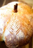 Breeezy's Bread basket