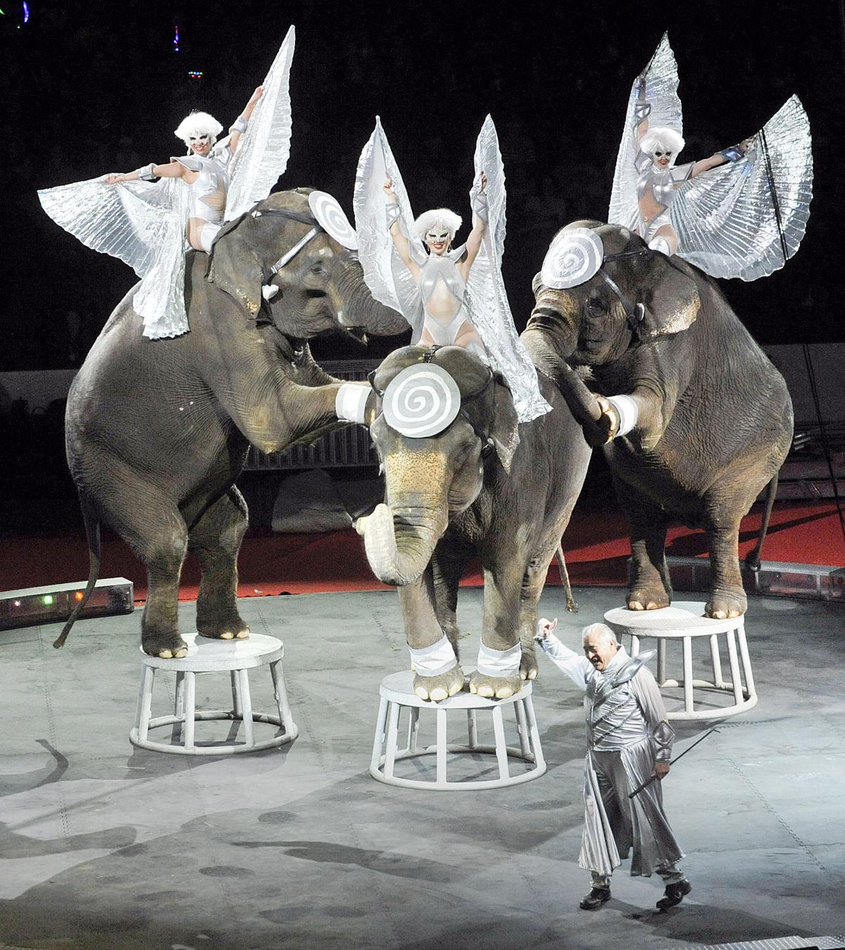 Elephants Back Again For Abu Bekr Shrine Circus Local News 8897