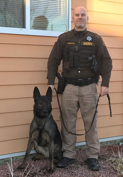 Dixon County K-9 dies unexpectedly | Crime & Courts 2 K-9 Josie