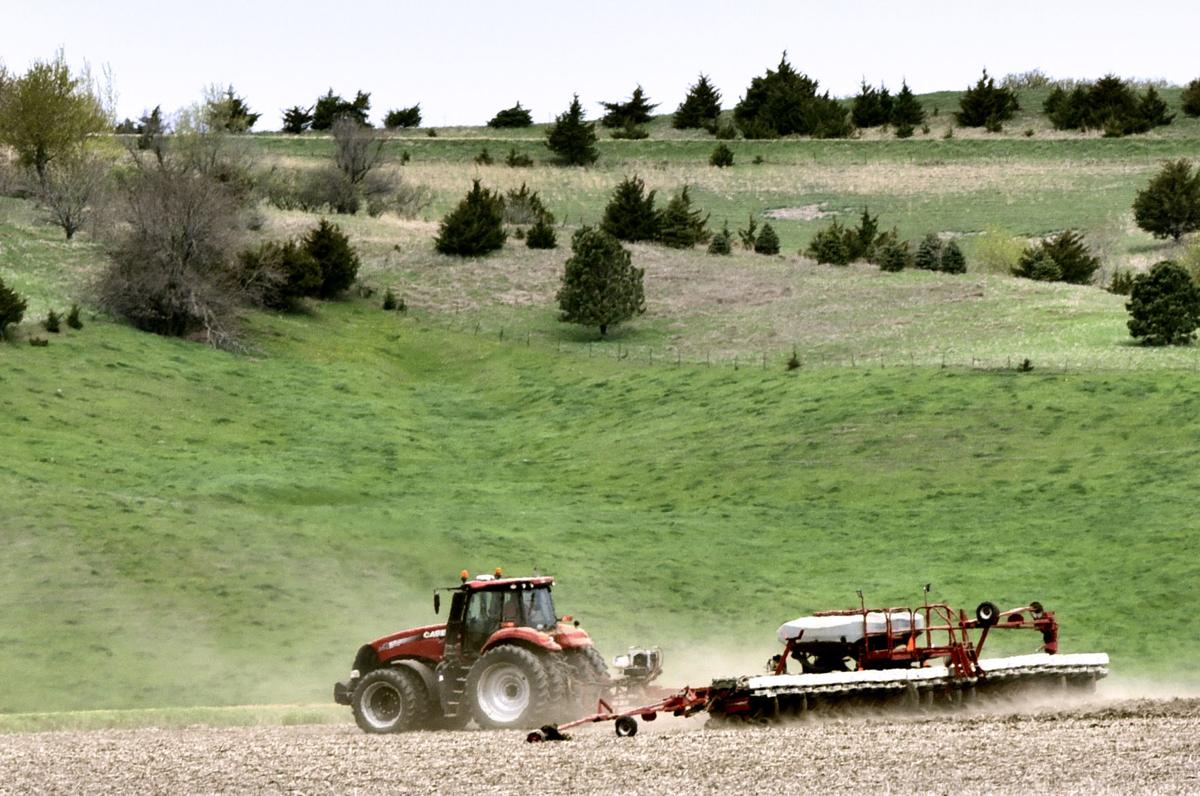 Spring planting