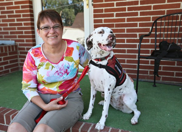 SERVICE DOG IN TRAINING: Ruby's lifesaving diabetic alert dog on a 24/7 ...