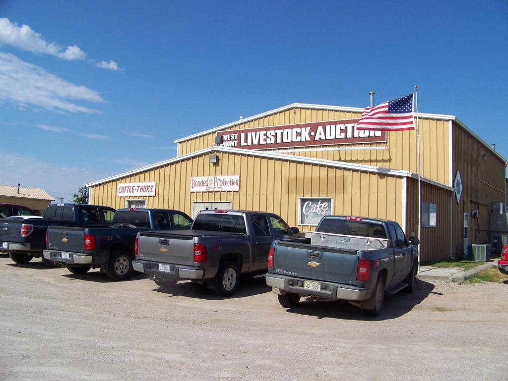 Livestock Barn Breeds Rich Area Tradition Local Business