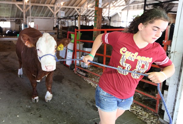 Woodbury County Fair