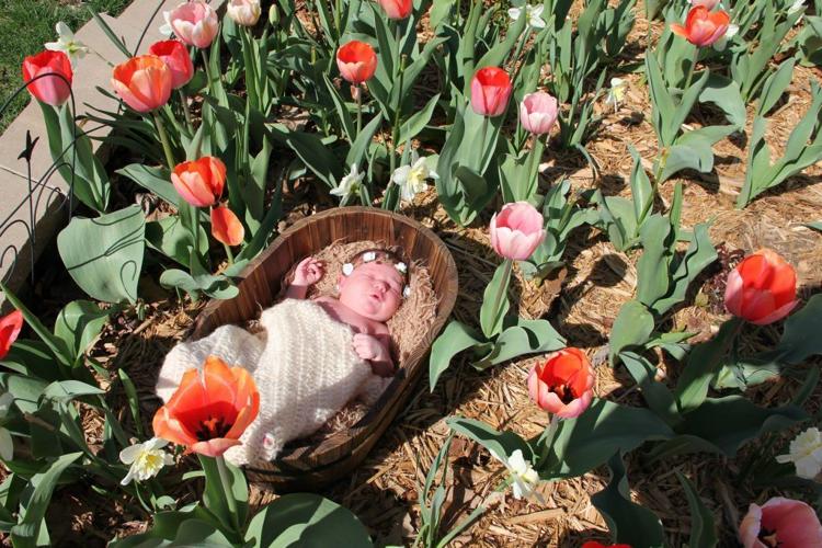 baby in tulip field