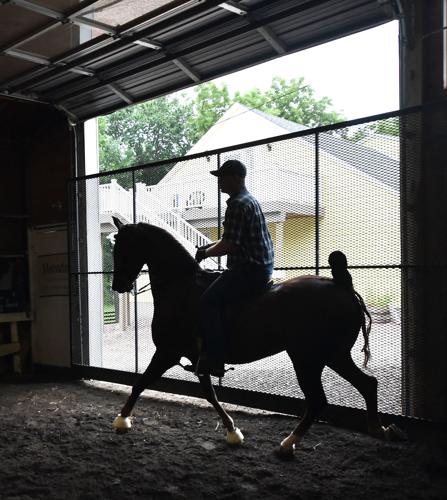 7 Wonders Stables