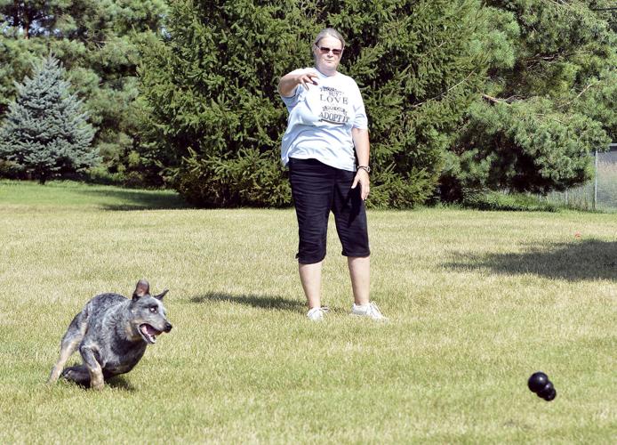 Dog Socialization