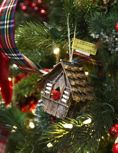 Earl May Christmas Trees