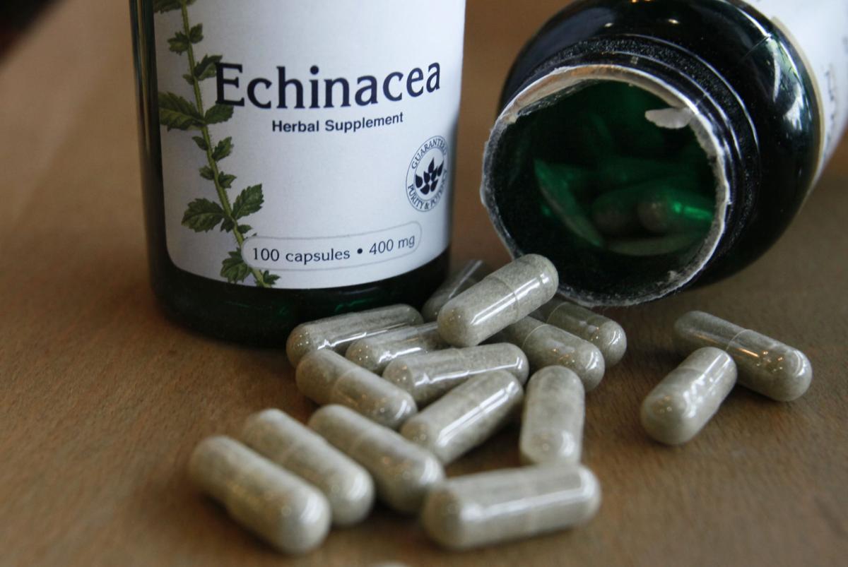 Echinacea