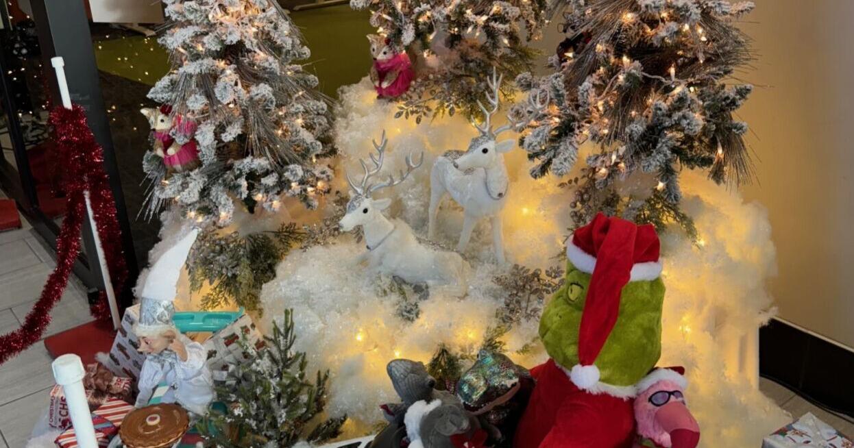 Sioux City's Festival of Trees raises nearly $18,000 - Vimarsana News
