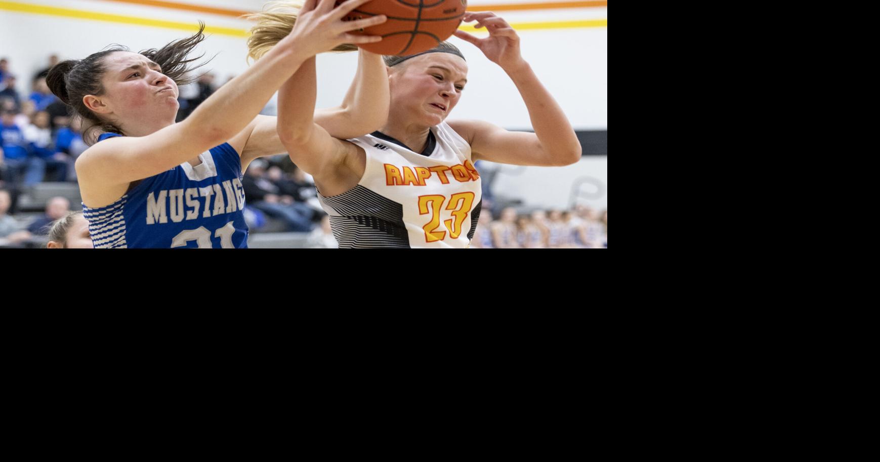 PHOTOS NewellFonda vs Ridge View basketball