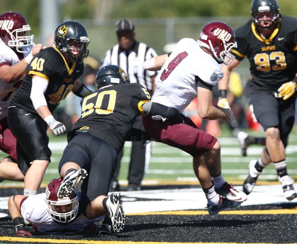 Photos: Minnesota Duluth at Wayne State football | Sports ...