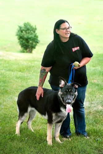 Pet Sitter