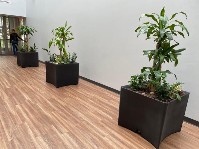 Panda Cares Center of Hope planters
