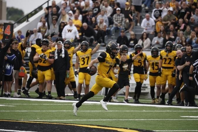 'Cats impress on both sides of ball in 44-7 victory over Jamestown