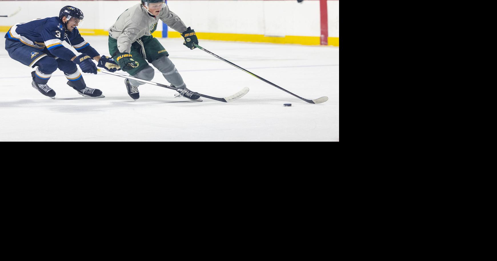 Photos: Musketeers vs Stampede hockey