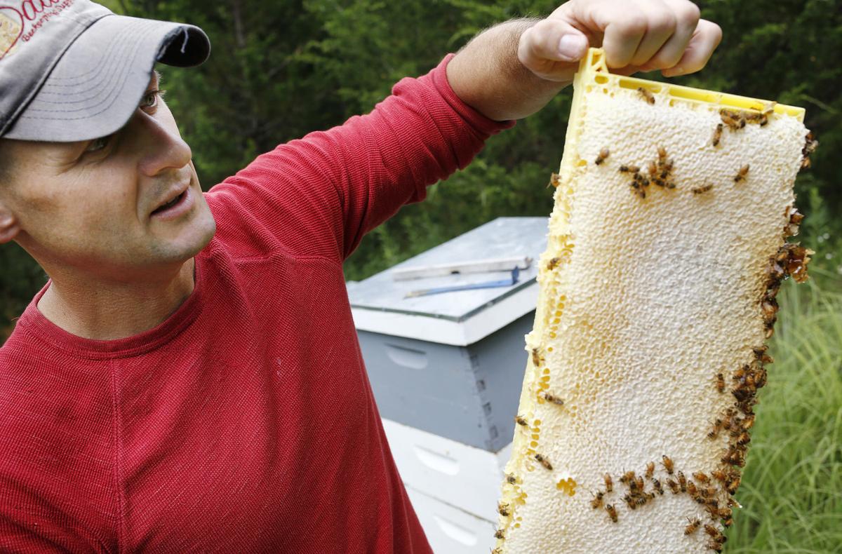 Wild Hill Honey