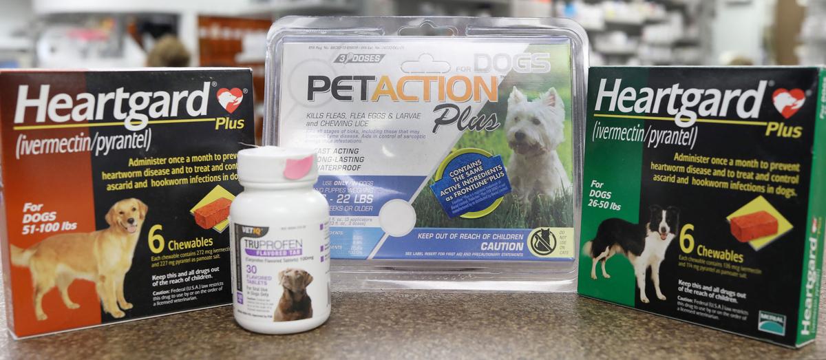Going To The Dogs Local Pharmacy Opts To Take A Bite Out Of Pet Medication Market Local Lifestyles Siouxcityjournal Com