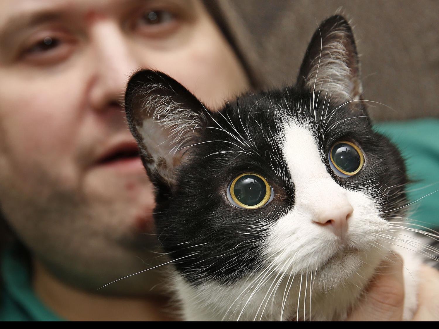 Surrendered Senior Pets Still Have Lots Of Love To Give Local