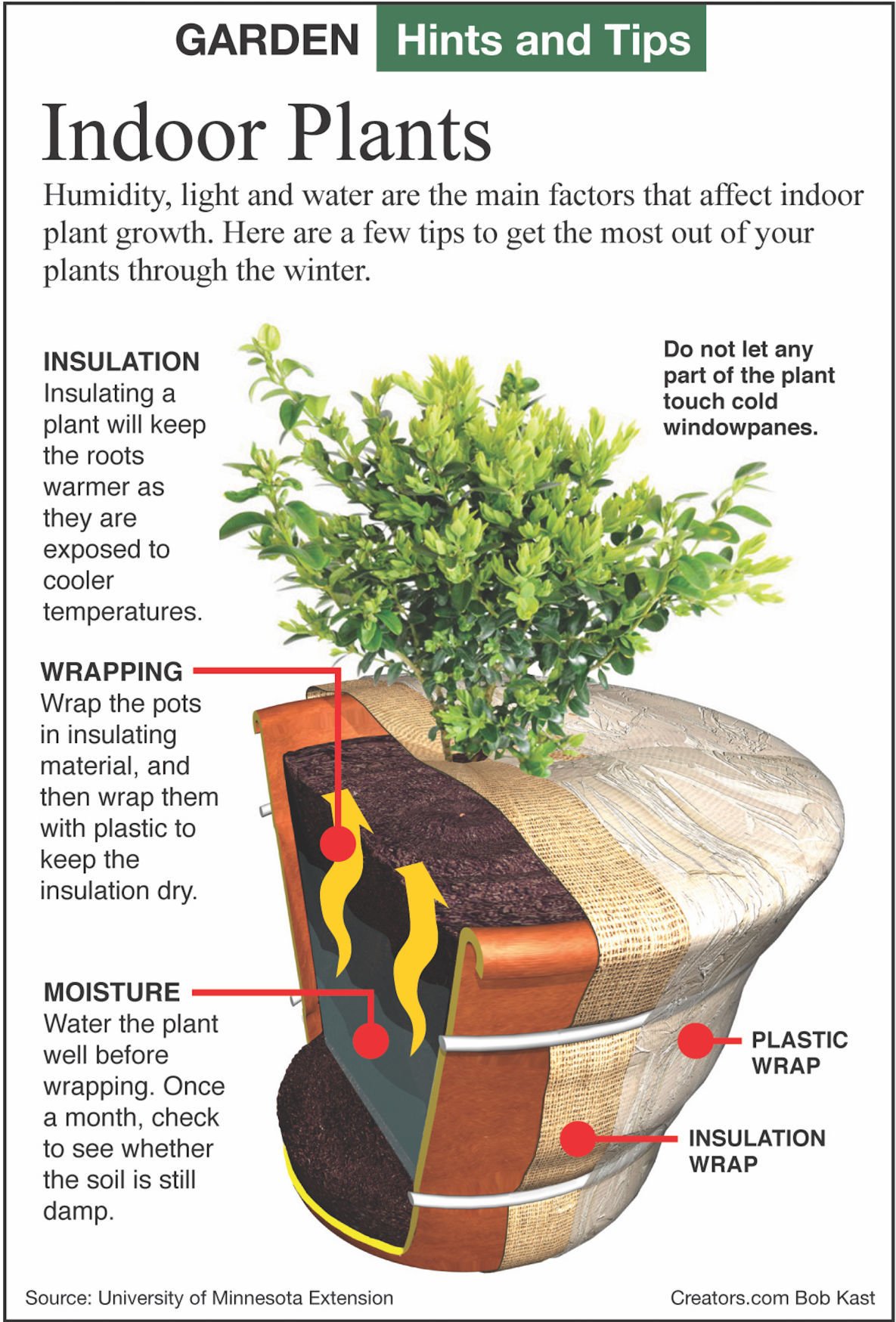 Insulating plants for winter survival with protective coverings