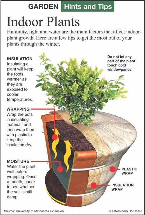 Wrap pots of winter plants in insulating material Siouxland Homes