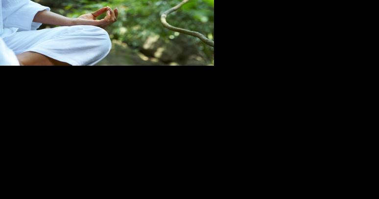 Senate yoga spending was a stretch, government watchdog says - Vimarsana News