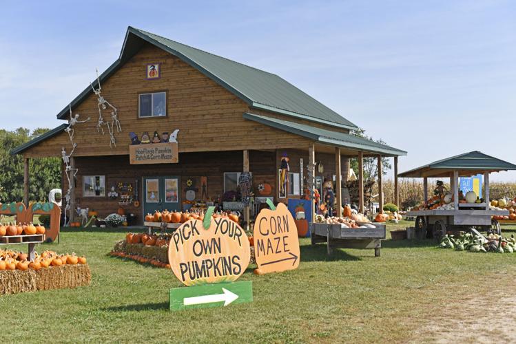 PumpkinPatch_2.jpg