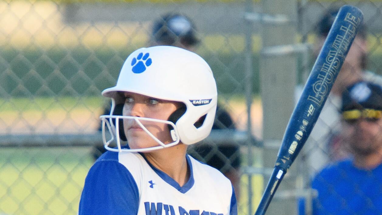 Sioux City North's Vogt, SB-L's Moreau among all-state softball players