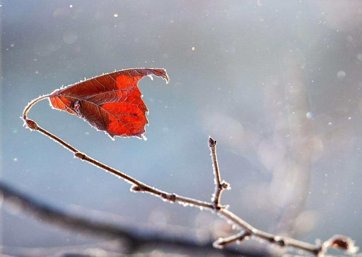 Council Bluffs ice photo