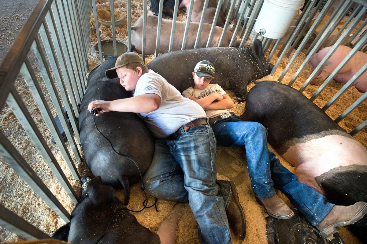 Photos Plymouth County Fair Local news