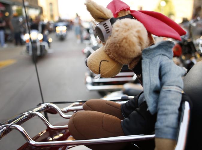 2015 Awesome Biker Nights