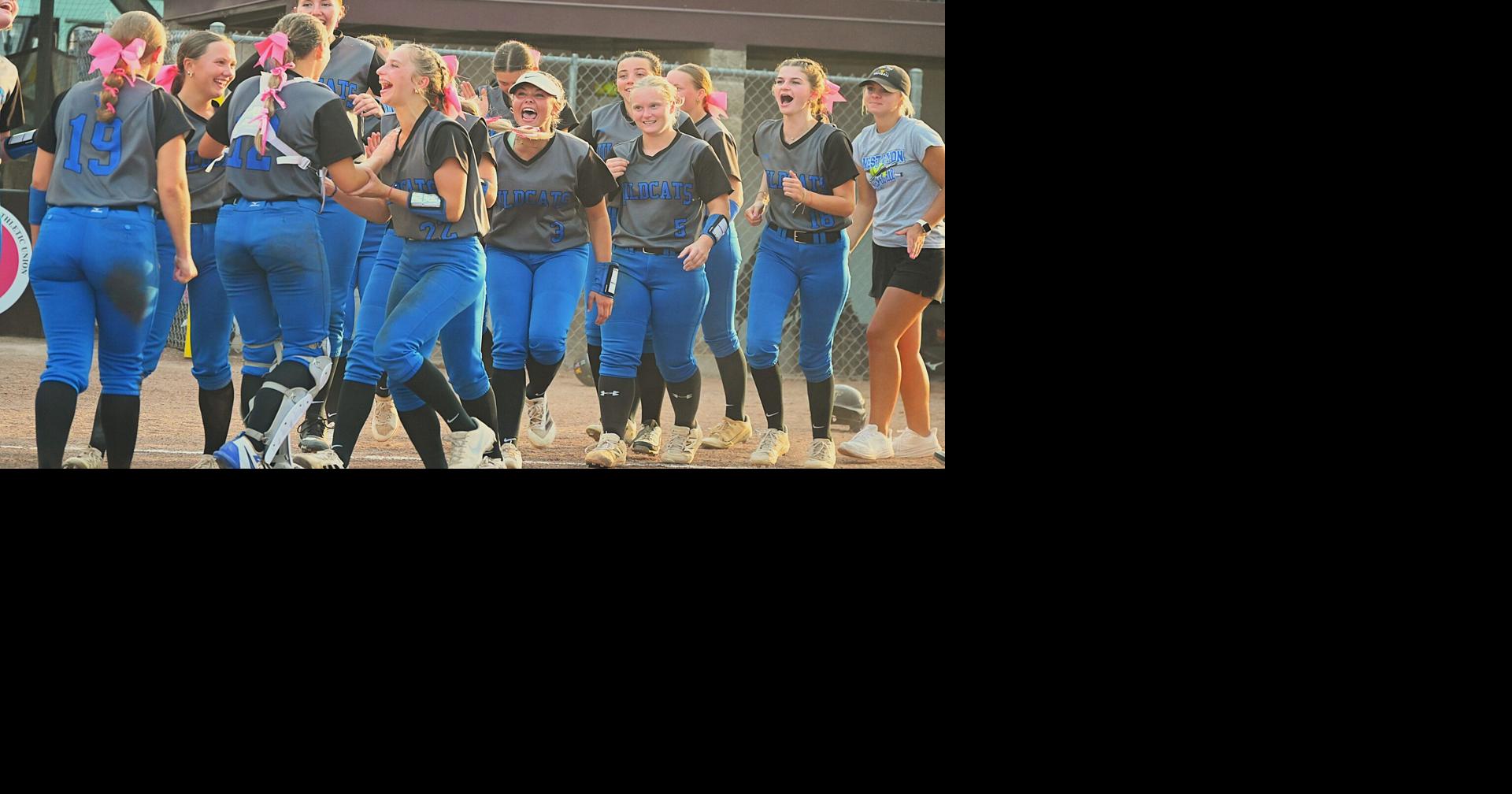 High school softball: Runner up Wildcats lead all-Siouxland conference honors