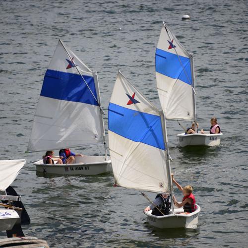 bunch of sailboats