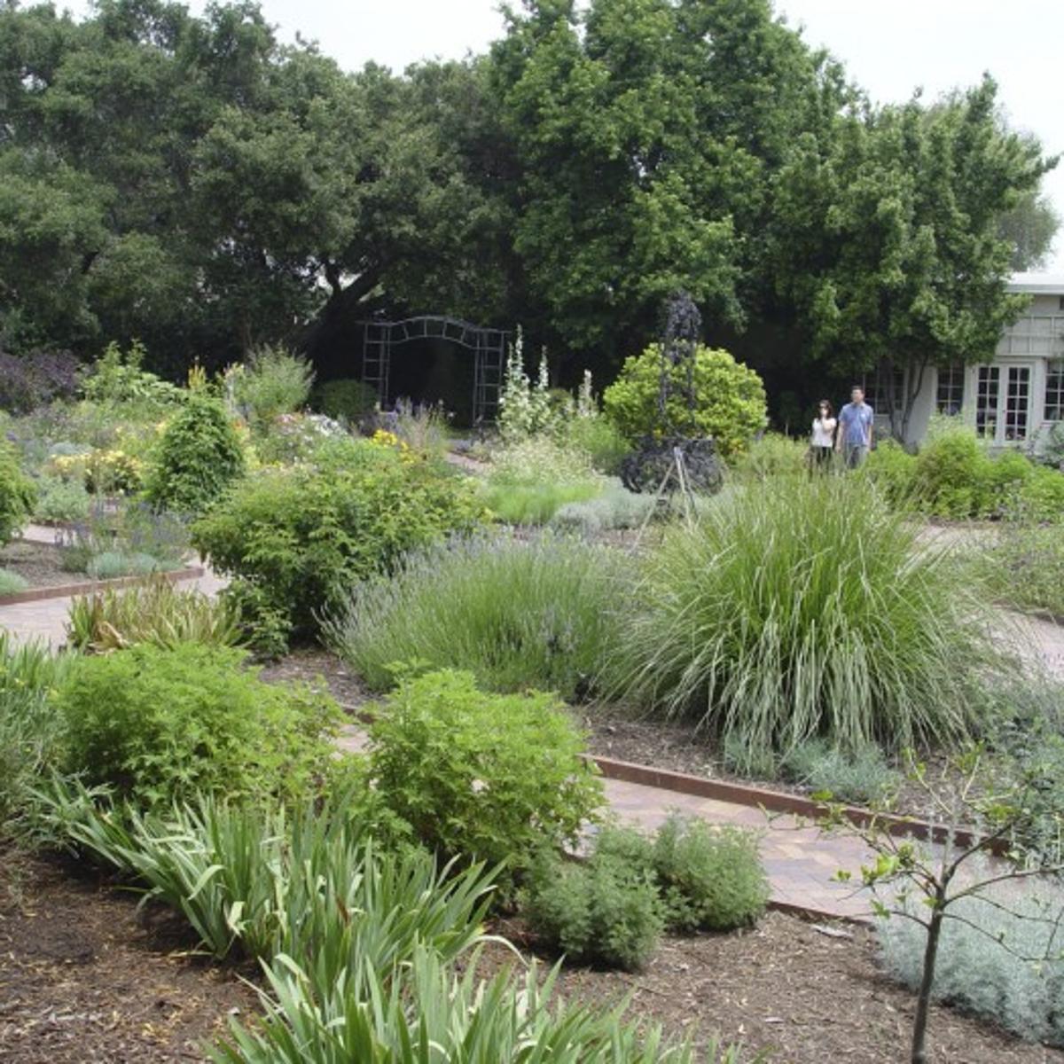 Grow A Garden Of Natural Pesticides Home And Garden