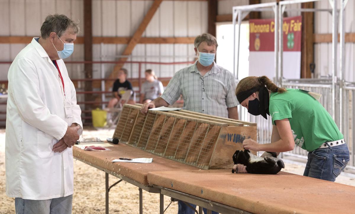 Covid-19 Monona County fair #1