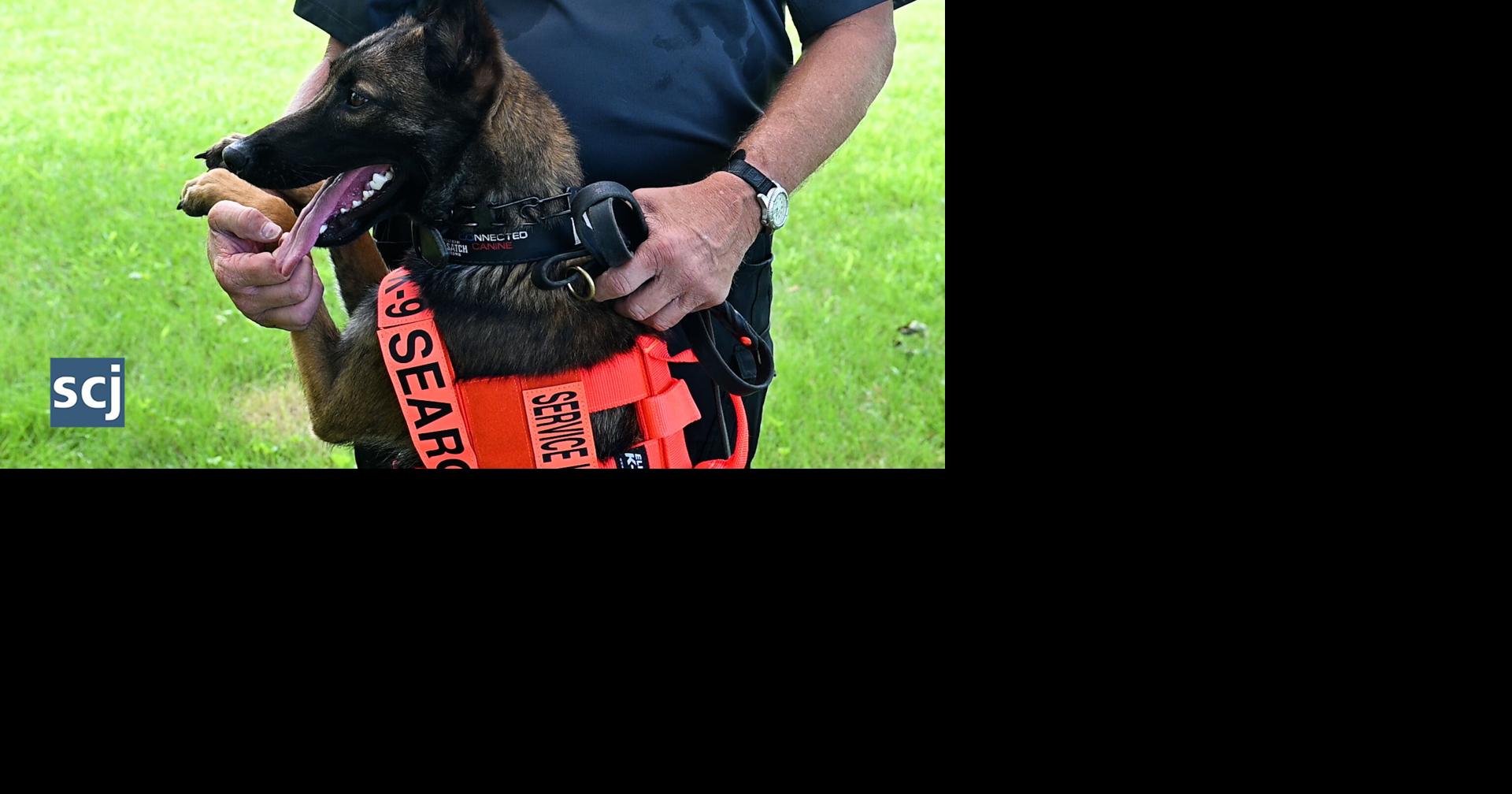 New search and rescue dog ready to help in NW Iowa