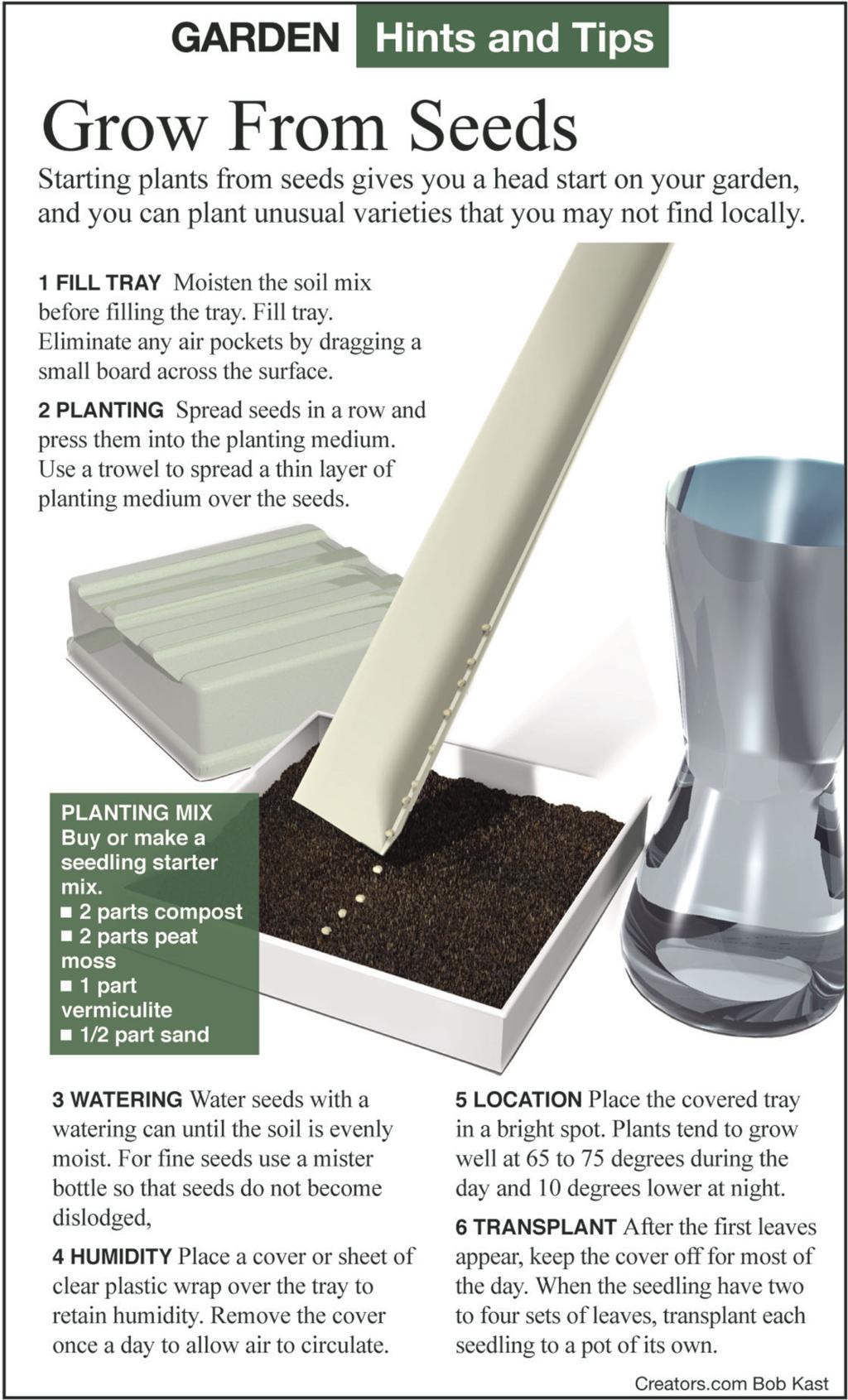 Stay Active With Winter Garden Tasks Siouxland Homes