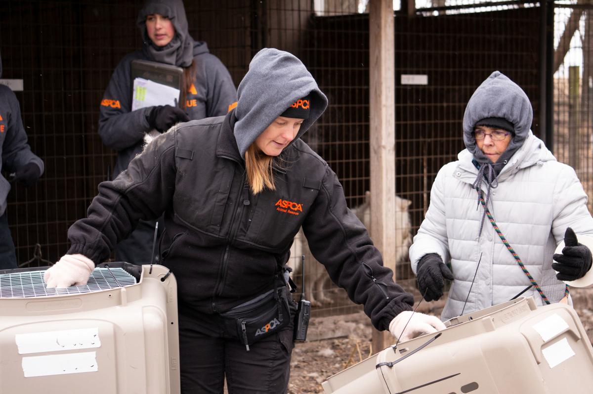 FIR_PuppyMill_WorthCo_IA_Nov1218_0134.JPG