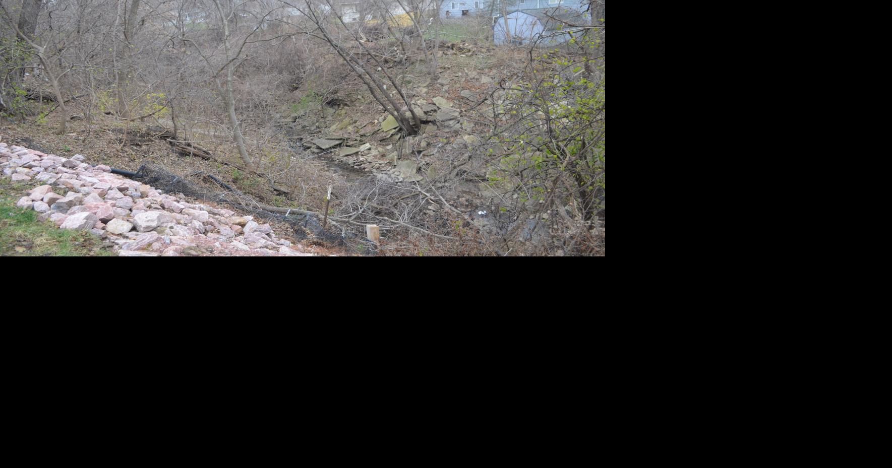 City plans steps to subdue widening Morningside ravine