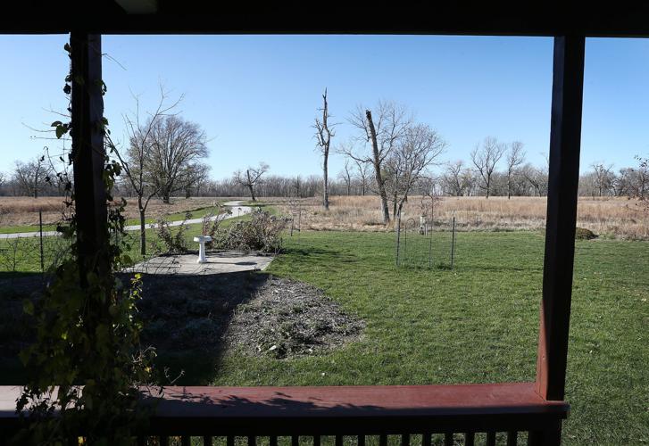 Bird feeders at Adams Homestead and Nature Preserve