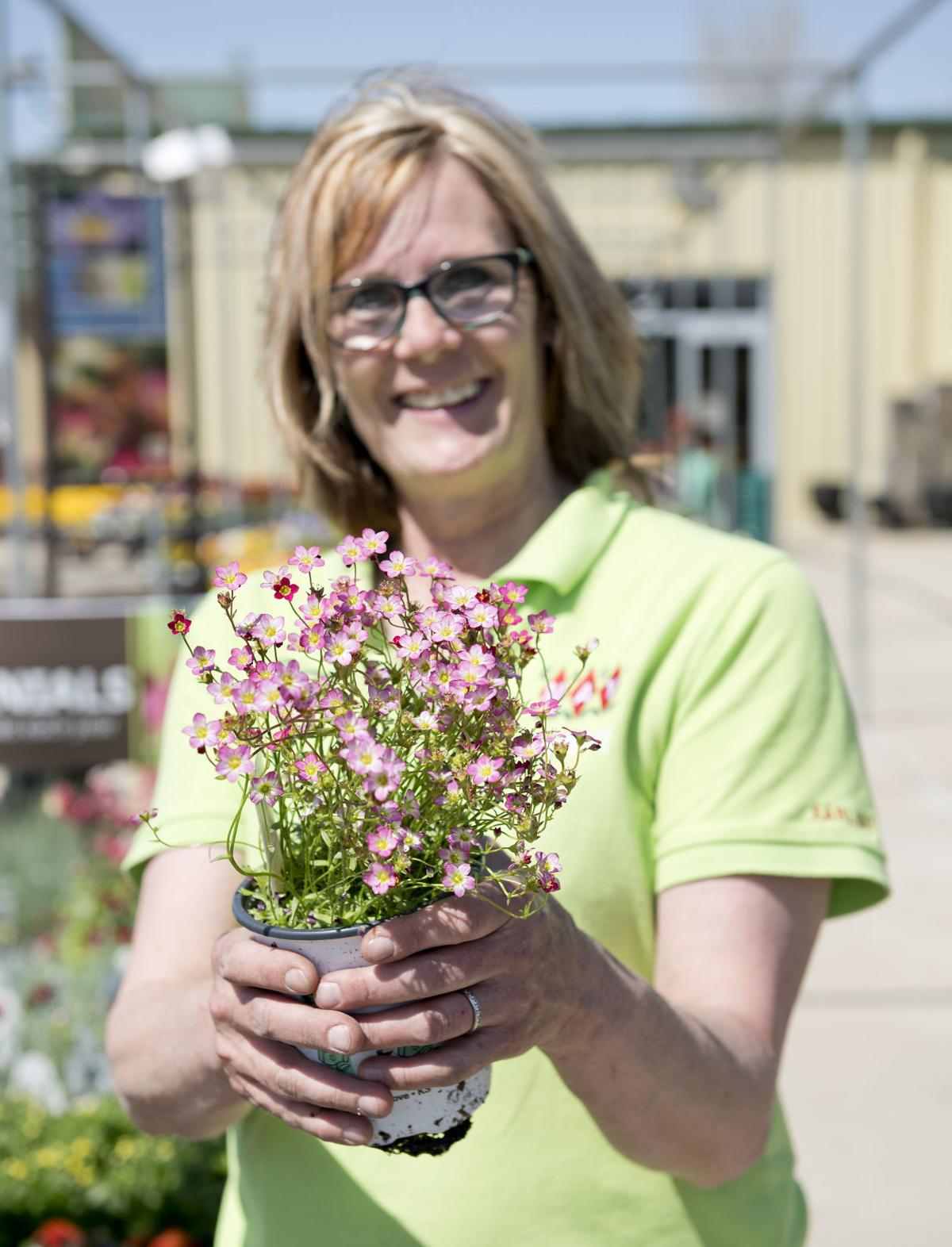 Earl May manager provides planting and watering tips for flowers and