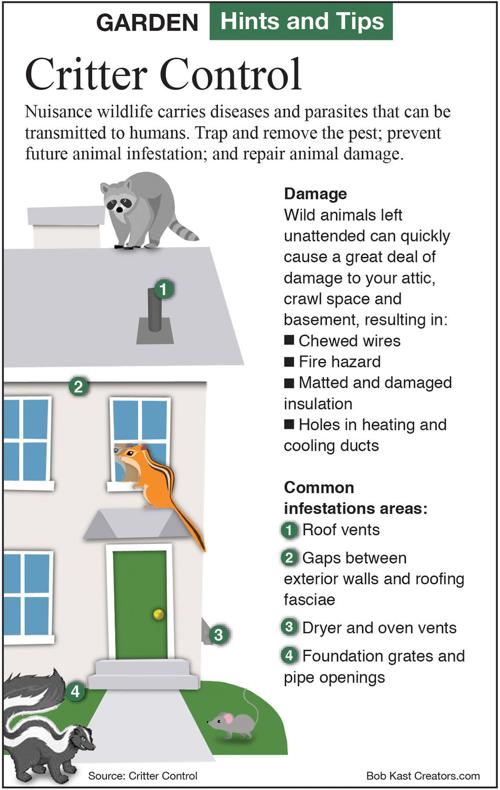 What To Do To Keep Varmints Away Siouxland Homes