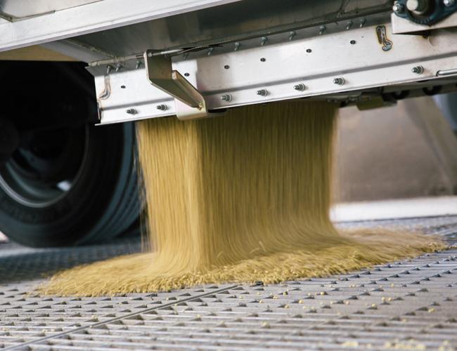 AGP, soybeans unloading