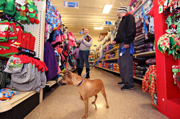 Petco 3 Legged Dog Christmas 2022 Petco 3 Legged Dog Christmas 2021 Christmas Ideas 2021 Petco 3 Legged Dog Christmas 2022 Petco 3 Legged Dog Christmas 2021 Christmas Ideas 2021