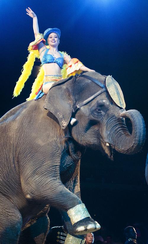 Show Goes On For Abu Bekr Shrine Circus Local News Siouxcityjournal Com