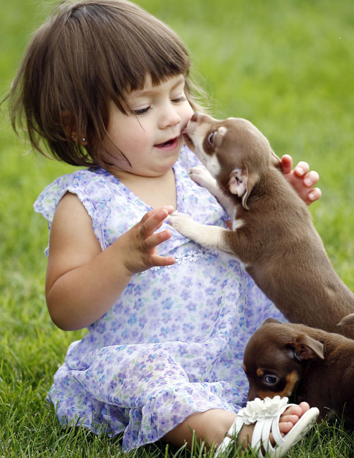 Meet the breeds Which, if any, is right for you? Siouxland Life