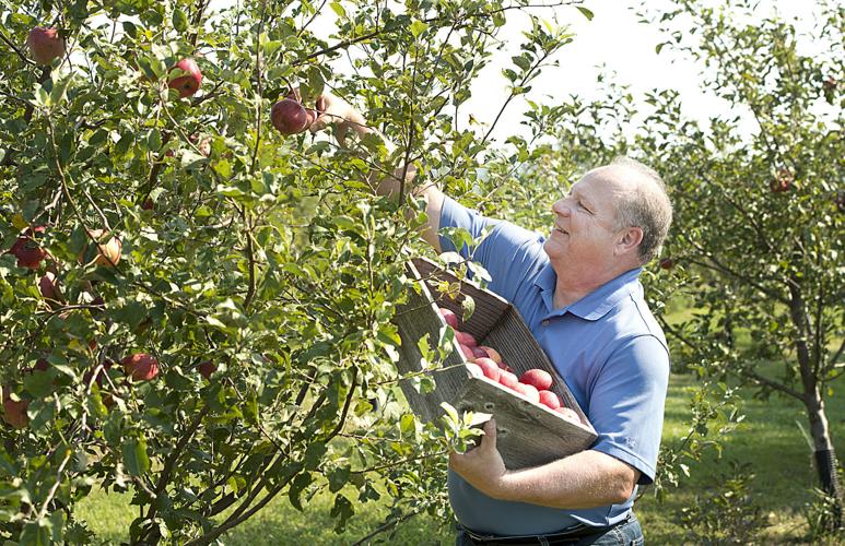 Trapple Orchard