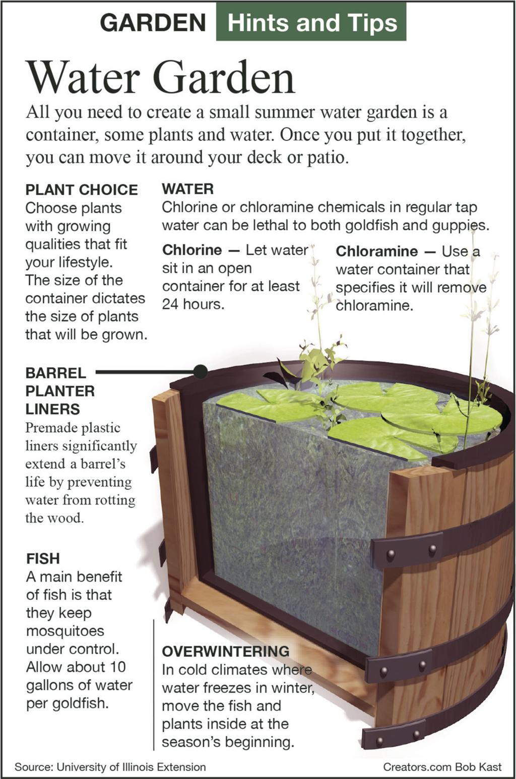 How To Start A Water Garden Siouxland Homes Siouxcityjournal Com