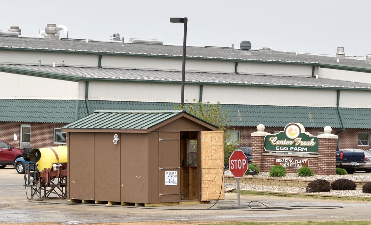 Bird flu outbreaks roil Northwest Iowa | Iowa news | siouxcityjournal.com